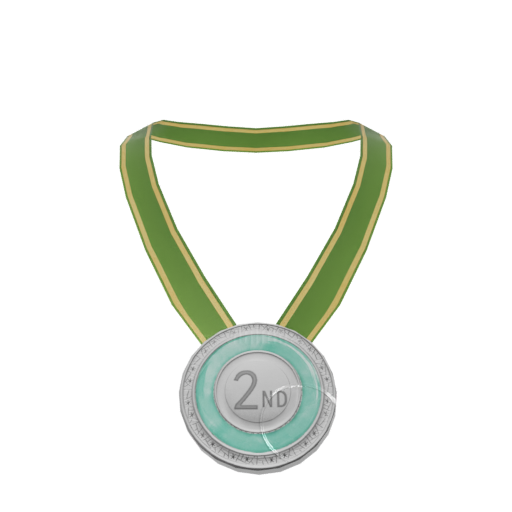 Medal D — Silver