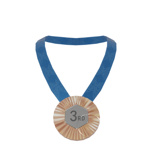 Medal E — Bronze